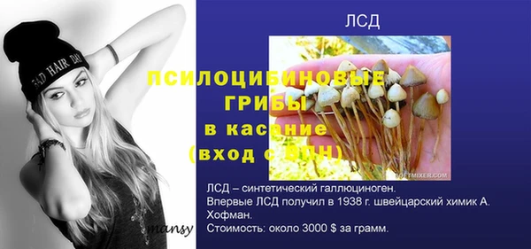 дурь Арсеньев