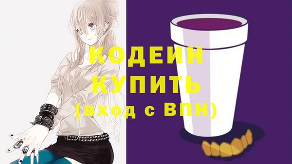 дурь Арсеньев