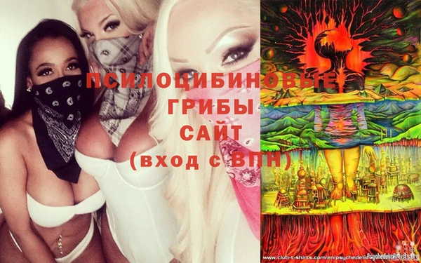 дурь Арсеньев