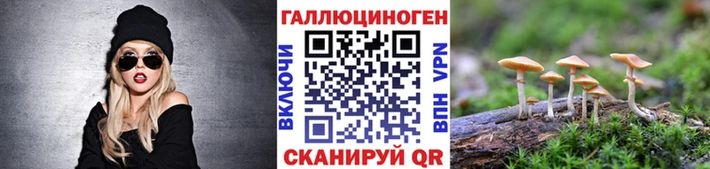 Псилоцибиновые грибы GOLDEN TEACHER  Купить закладки  Луга 