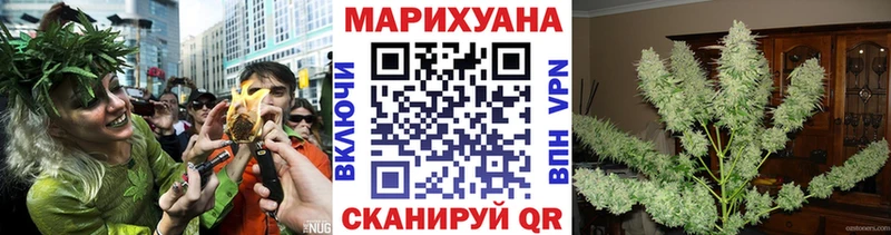 Канабис ГИДРОПОН Луга